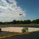 <i>Top Gear USA</i> Pits Viper Against Cobra... <i>Attack Helicopter</i>!